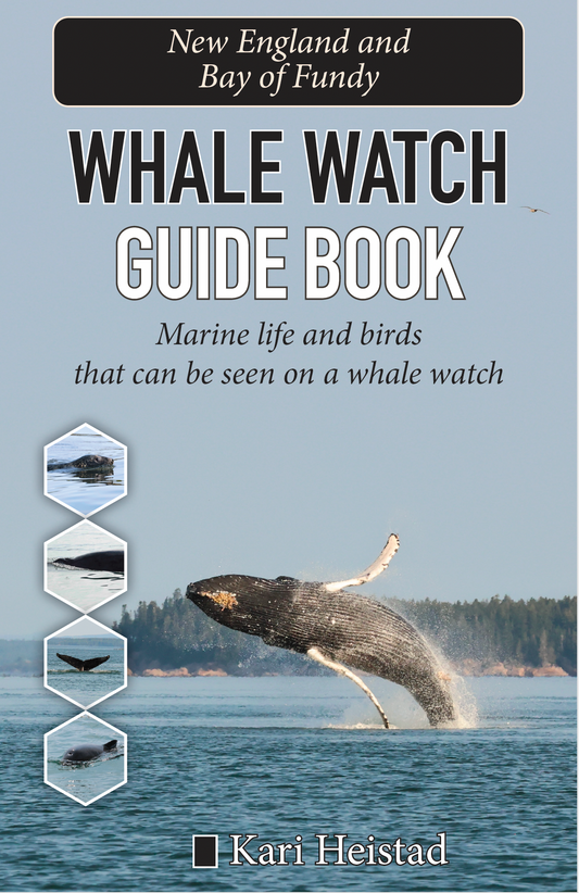 Whale Watch Guidebook for New England and Bay of Fundy