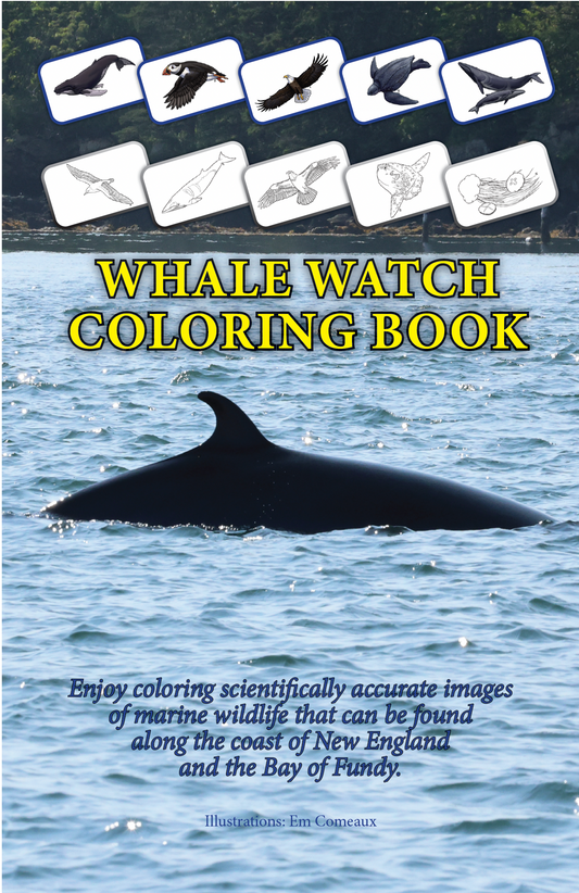 Whale Watch Coloring Book